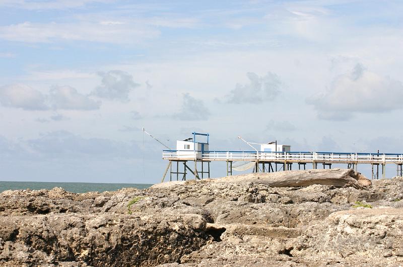 11-08-2008 478.jpg